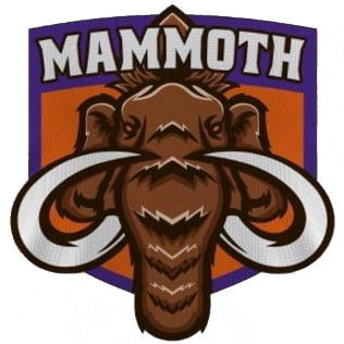 Elmira Mammoth - Wikipedia