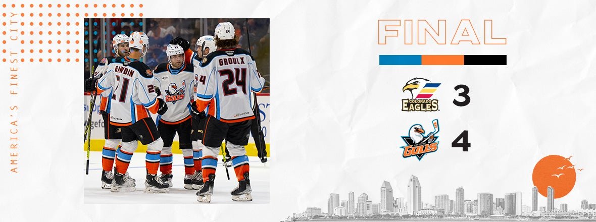 Gulls Victorious In Battle Of Birds